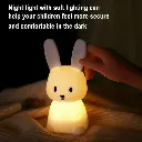 Cute Bunny Night Lamp (16).webp