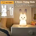 Cute Bunny Night Lamp (8).webp
