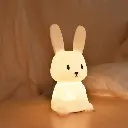 Cute Bunny Night Lamp (17).webp