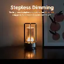 Lamp Gold (14).webp