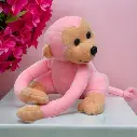 Cut’n Monkey Teddy (1).webp