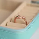 Fancy Ring - 245 (1).webp