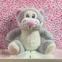 Cat Teddy (1).webp