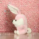 Rabbit Teddy (1).webp