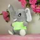 Small Elephant (1).webp