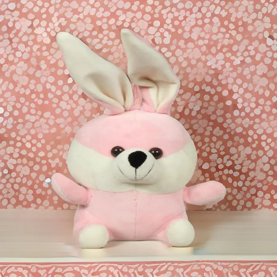 Rabbit Teddy
