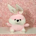 Rabbit Teddy