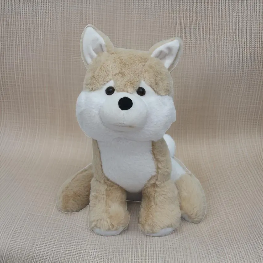 Dog Teddy