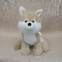 Dog Teddy