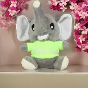 Small Elephant Teddy