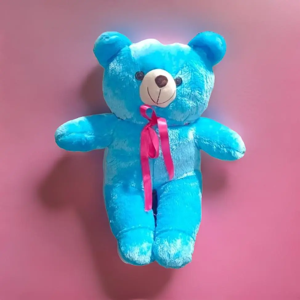 Indian Teddy