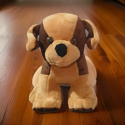 Indian Dog Teddy