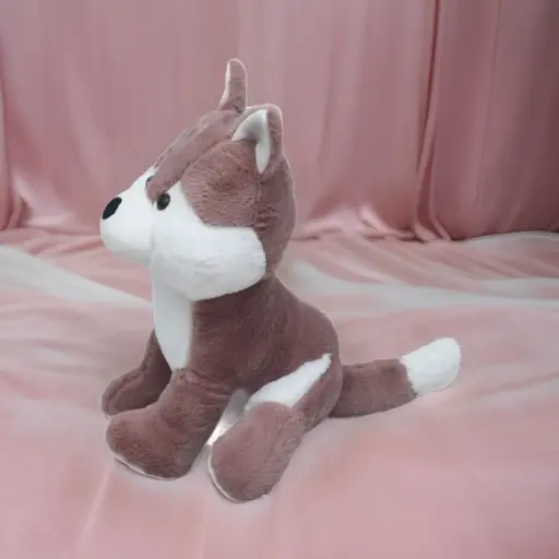 Dog Teddy