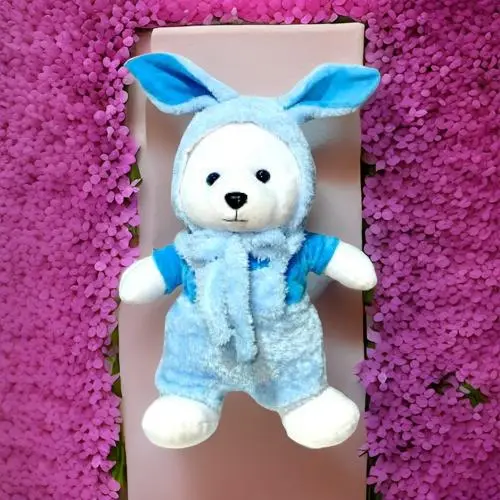 Variation Boy Teddy