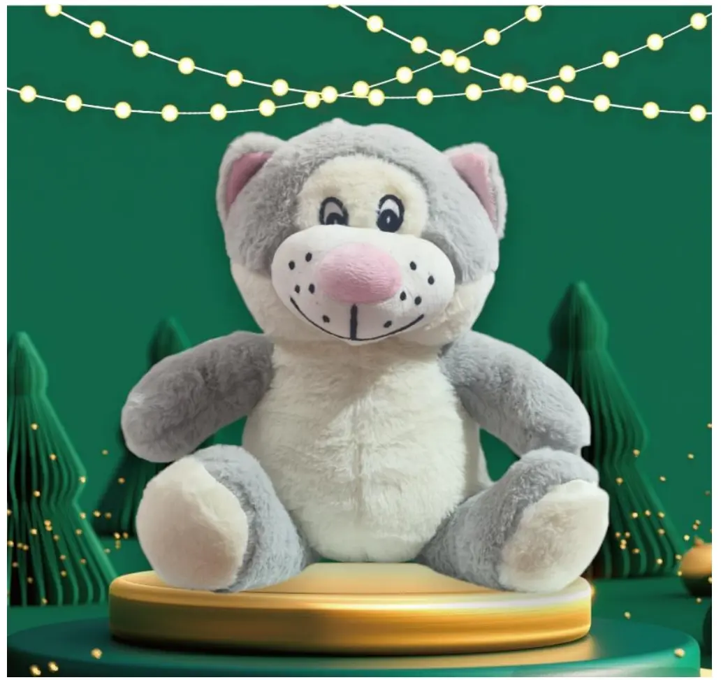 Cat Teddy