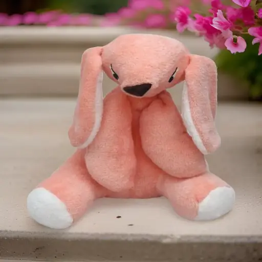 Bunny Teddy