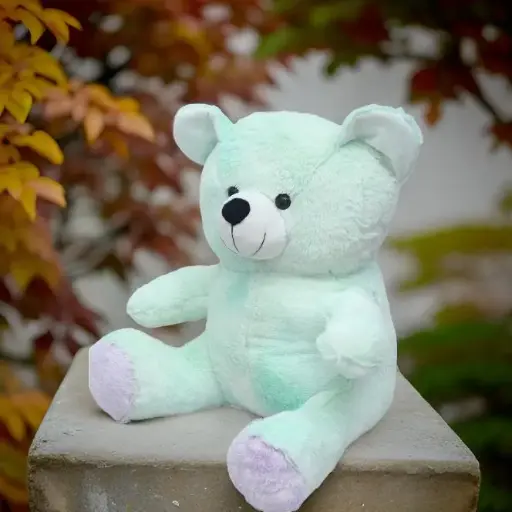 Duel Teddy