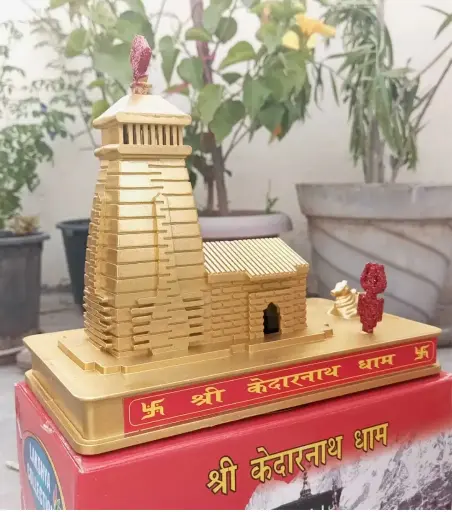 [Savy_023_3059] Kedarnath Temple Statue