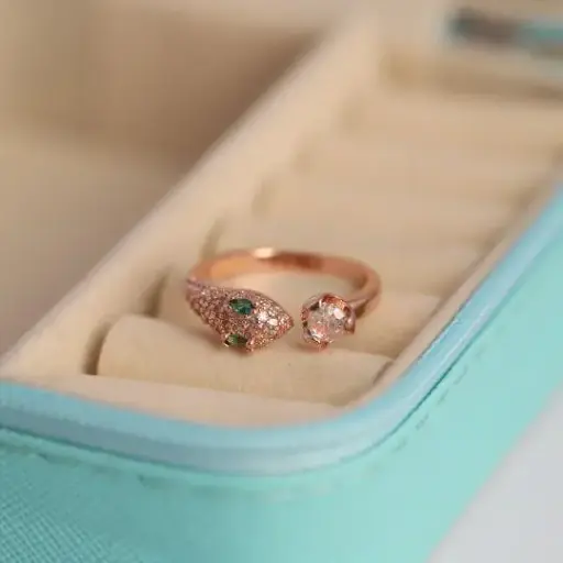 [RCS-000245] Fancy Ring - 245